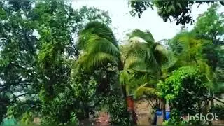 Nisarg Cyclone