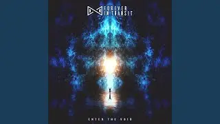Enter the Void (feat. Diego Tejeida)