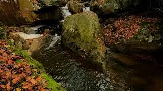 Wonders of Pennsylvania - Fall in the Laurel Highlands