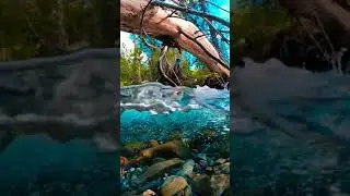 Best nature WhatsApp status 2021 😍😍 || Water flowing status 😍 ||