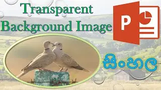 How to Make a Transparent Background Image Presentation in PowerPoint Sinhala - Akain Vlogs