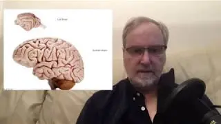AI without Jargon - what is AI?