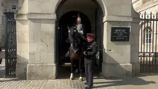 Something Spooks Horse then Emergency button stops working. #london #history #buckinghampalace