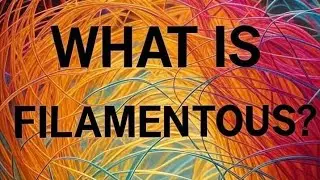 What's So Cool About Filamentous?