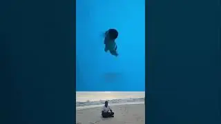 If you go under the water,how can you come up? #underwateradventure #underwaterbreathing #underwater