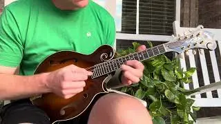 Collings MF5 #749
