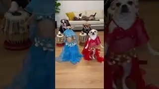 Funniest fun vedios 😂🤣...Try not to laugh 😃. .Share your frd and family. Support me and subscribe