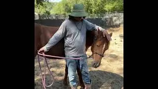 Elle&rsquo;s 3day Foundation Ground works training 
