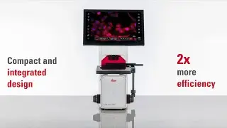 Mateo FL Digital Fluorescence Microscope
