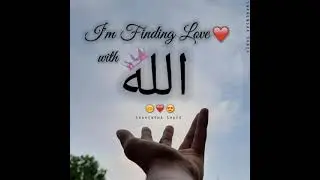 wo tanha Kon hai naat instagram status | Islamic broken status | finding love with allah status | 4k