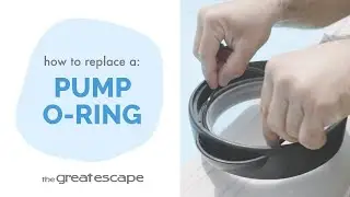 Pump Perfection: Replacing Your Pool Pump's O-Ring
