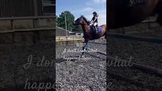 Ranking my horse fails with me