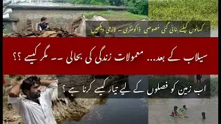 After the Flood: How Will Farmers Rebuild Their Lives? | Pakistan's Rural Crisis