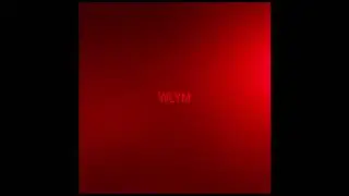 Wayshawn-W.L.Y.M.(Audio)