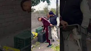 Mcd raid harsh vihar viral video😍