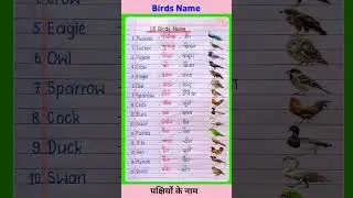 पक्षियों के नाम | 15 Birds Name in English and Hindi | pakshiyon ke naam | Birds Name |