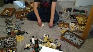 Speed Sorting LEGO - PBricks - 2022