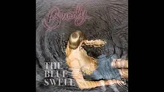 Beverly - South Collins
