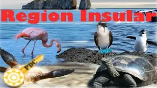 Region Insular o Galápagos✅
