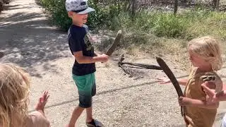 Tamarindo to Playa Grande (through a river with crocodiles!)