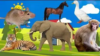 Children practice speaking English through animals and children's music