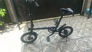 Evergreen Maximus Edge Custom (Preloved) Harga Sejutaan