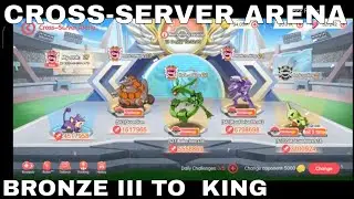 BRONZE III -  KING - CROSS-SERVER ARENA ► POCKET INCOMING