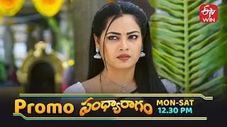 సంధ్య ఆనందానికి కారణం..!? | Sandya Ragam | Daily Serial | Mon-Sat @ 12:30 PM