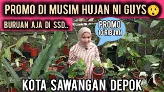 PROMO DI MUSIM HUJAN  NI GUYS😲PROMO 10-RIBUAN ‼️BURUAN AJA DI SSD⁉️KOTA SAWANGAN DEPOM
