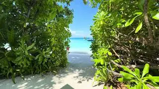 Beach Pool Villa Nr. 317 @ Seaside Finolhu Baa Atoll Maldives