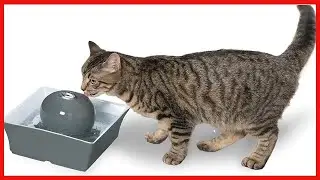 PetSafe Drinkwell Seascape Ceramic Pet Water Fountain