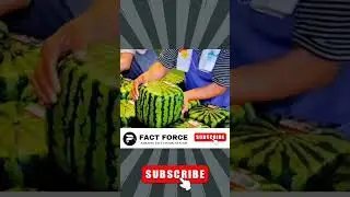 Facts about Japan | Unknown Facts Malayalam | #shorts #ytshorts