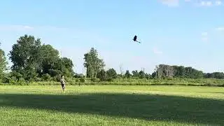 I GOT THE RC FLYING TOOTHLESS LATS FLY