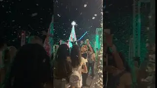 Christmas tree light Opening celebration| camana bay| Cayman Islands #christmas#happychristmas#short