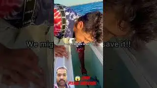 #fishing #fish #funny #viral #tereliyehumhaijiye #youtubeshorts #shark #sharks #trending #shorts