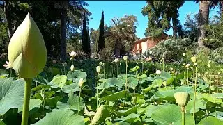 S2E14: Lotusland | Montecito California