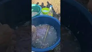 Asa ies cei mai gustosi carnati