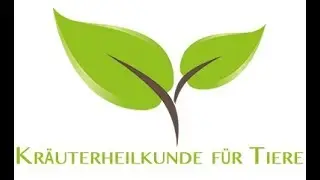 Gro&szlig;e Klette wild sammeln