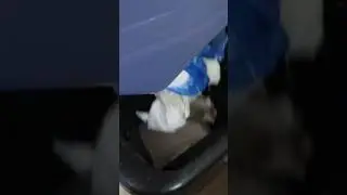 1 трюк, как тайно носить подгузники&hellip;