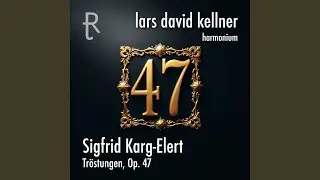 Tr&ouml;stungen, Op. 47: 5. Herr, schicke was du willt