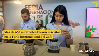 M&aacute;s de 650 microlotes fueron inscritos en la Feria Internacional del Caf&eacute;