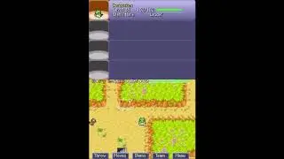 Five invalid (glitch) Pokémon in Pokémon Mystery Dungeon Blue (Pokémon Mystery Dungeon Red/Blue)