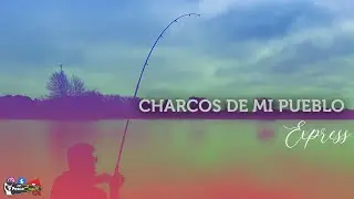 PESCA VARIADA EXPRESS / BUSCANDO LUGARES /Charcos de mi Pueblo/ PESCA BIGOTE OK
