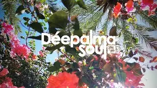 Loui & Scibi feat. Nathalia - Giving You the Light (Shane D. Remix) [D&eacute;epalma Soul Classics]