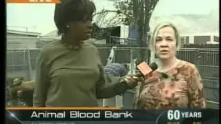 Hemopet featured on KTLA.mp4