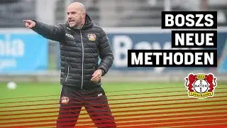 Training, Taktik, Termine - Das ist neu unter Peter Bosz