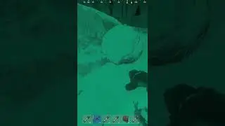 when you kill the chinese farmer in rust