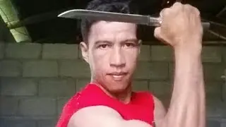THE BEST OF DEXTER TOTURIAL KUNG FU WUSHU BASICS STEPS FOR BEGGINERS