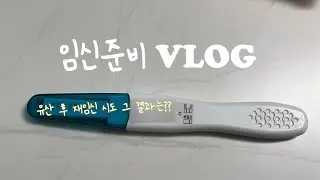 [임신준비VLOG] 계류유산 후 재임신 시도 결과는?ㅣ배란 후 일상ㅣ자연임신시도ㅣ배란 10일차 임신테스트기ㅣ착상기에 술?ㅣ임테기 노예?