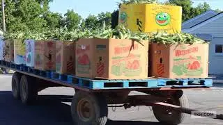Lancaster County Corn Delivery